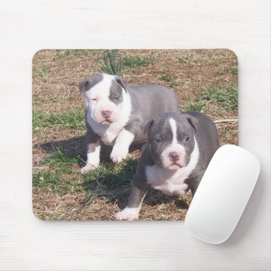 TWEE PITBULL POPS MUISMAT (Met muis)