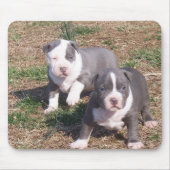 TWEE PITBULL POPS MUISMAT (Voorkant)