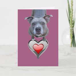 Twee Pitbull-Valentijnsdag-kaarten Feestdagen Kaart