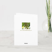 TWEE PITCHER PLANTEN / BEDANKT / TEKST (Achterkant)