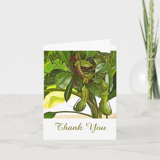 TWEE PITCHER PLANTEN / BEDANKT / TEKST (Voorkant)