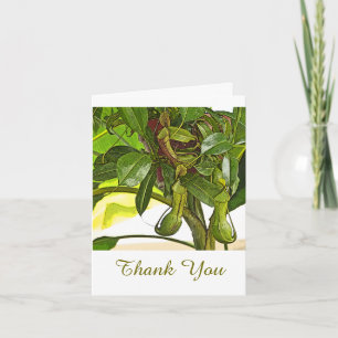 TWEE PITCHER PLANTEN / BEDANKT / TEKST