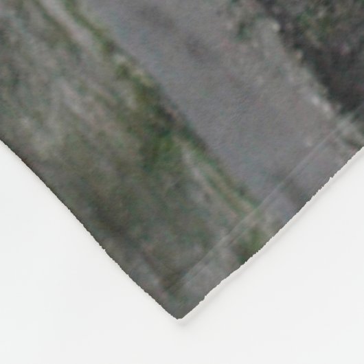 Twee Polaire Beren Cubs Fleece Deken (Hoek)