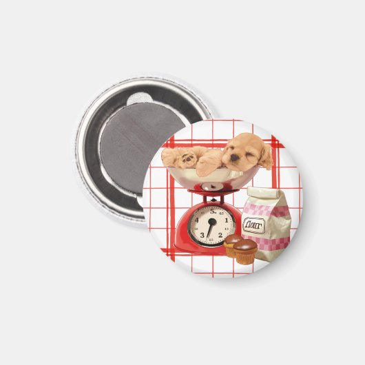 Twee Ponden van Cute Magneet (Voorkant / Achterkant)