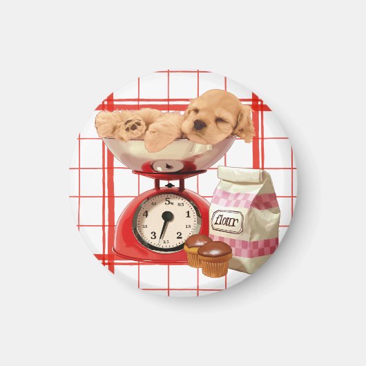 Twee Ponden van Cute Magneet (Voorkant)