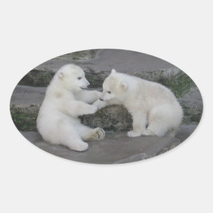 Twee poolkubs beer ovale sticker
