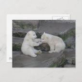 Twee poolse beren briefkaart (Voorkant / Achterkant)