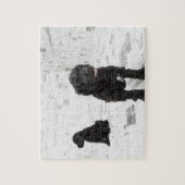 Twee Portugese puppies van de waterhond in een kam Legpuzzel (Verticaal)