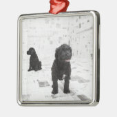 Twee Portugese puppies van de waterhond in een kam Metalen Ornament (Links)