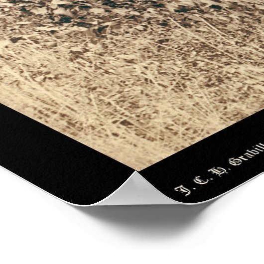 Twee postbussen Passing Black Hills WY 1889 Poster (Hoek)