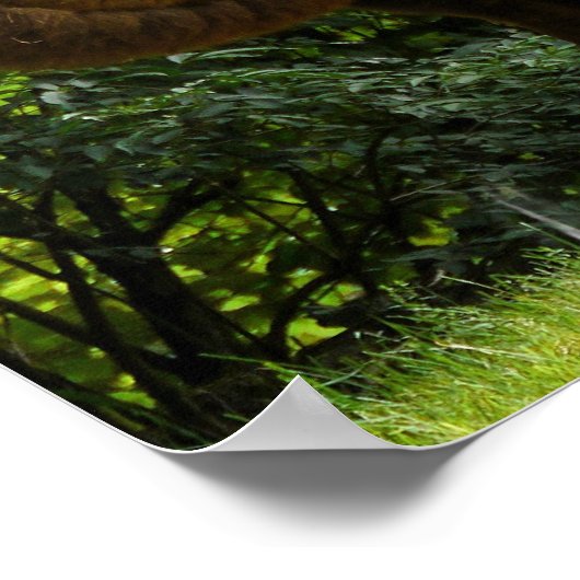 Twee Poster van het gepompte kameel (Hoek)