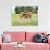 Twee prachtige Amber Paarden naast een boerderij K Canvas Afdruk (Insitu (Woonkamer))