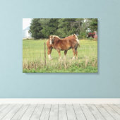 Twee prachtige Amber Paarden naast een boerderij K Canvas Afdruk (Insitu (Houten vloer))