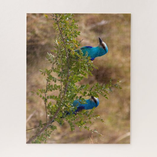 Twee prachtige blauwe vogels op een vertakking legpuzzel (Verticaal)