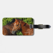 Twee prachtige kastanjepaarden in de zon bagagelabel (Achterkant horizontaal)