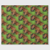 Twee prachtige kastanjepaarden in de zon cadeaupapier (Vlak)