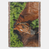 Twee prachtige kastanjepaarden in de zon deken (Voorkant Verticaal)