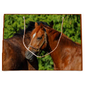 Twee prachtige kastanjepaarden in de zon groot cadeauzakje