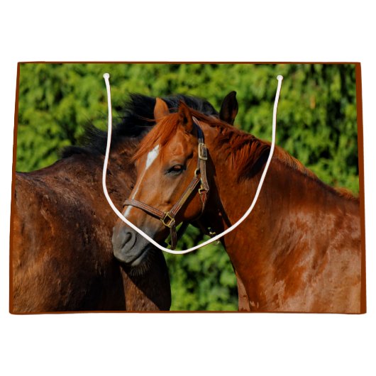 Twee prachtige kastanjepaarden in de zon groot cadeauzakje (Voorkant)