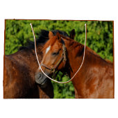 Twee prachtige kastanjepaarden in de zon groot cadeauzakje