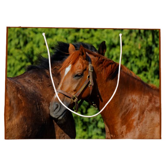 Twee prachtige kastanjepaarden in de zon groot cadeauzakje (Achterkant)