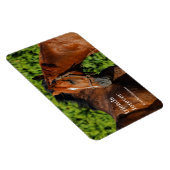 Twee prachtige kastanjepaarden in de zon magneet (Rechterzijde)