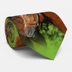 Twee prachtige kastanjepaarden in de zon stropdas