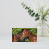 Twee prachtige kastanjepaarden in de zon visitekaartje (Staand voorkant)