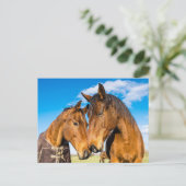 Twee prachtige paarden briefkaart (Staand voorkant)