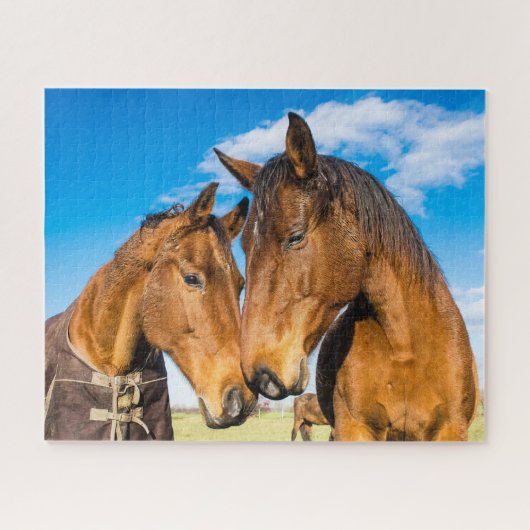 Twee prachtige paarden legpuzzel (Horizontaal)