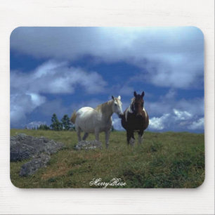 Twee prachtige paarden muismat