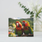 TWEE PRACHTIGE PAPEGAAIEN UIT DOMINICA BRIEFKAART (Staand voorkant)