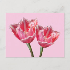 Twee prachtige roze tulpjes. BG DIY Briefkaart