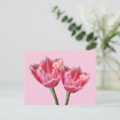 Twee prachtige roze tulpjes. BG DIY Briefkaart (Staand voorkant)