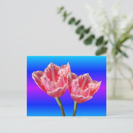 Twee prachtige roze Tulps Blue BG DIY Briefkaart (Staand voorkant)