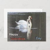 Twee prachtige Swans Valentijns Briefkaart (Voorkant / Achterkant)