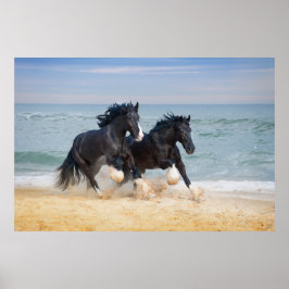 Twee prachtige wonderpaarden die langs het strand  poster