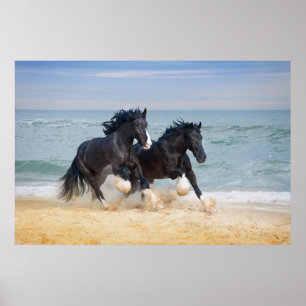 Twee prachtige wonderpaarden die langs het strand  poster