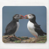 Twee puffins muismat (Voorkant)