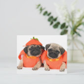 Twee pugs briefkaart (Staand voorkant)