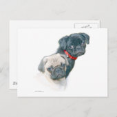 Twee pugs briefkaart (Voorkant / Achterkant)