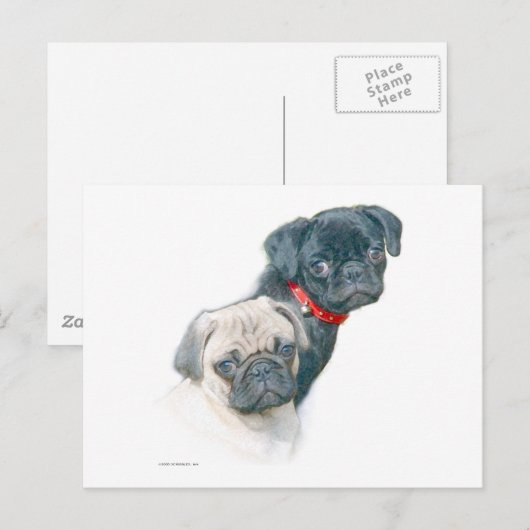 Twee pugs briefkaart (Voorkant / Achterkant)