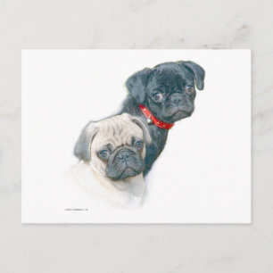Twee pugs briefkaart