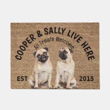 Twee Pugs Gepersonaliseerde Hondenliefhebbers Deur
