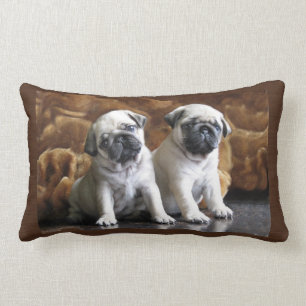 Twee pugs Pillow Kussen