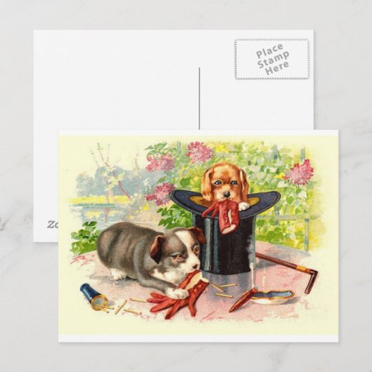 Twee Puppies  Briefkaart (Voorkant / Achterkant)