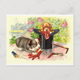 Twee Puppies  Briefkaart