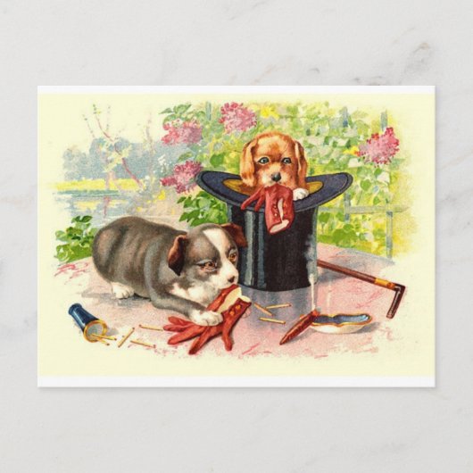 Twee Puppies  Briefkaart (Voorkant)