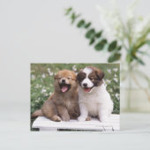 Twee puppies die samen zitten briefkaart (Staand voorkant)