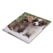 Twee puppies die samen zitten tegeltje (Zijkant)